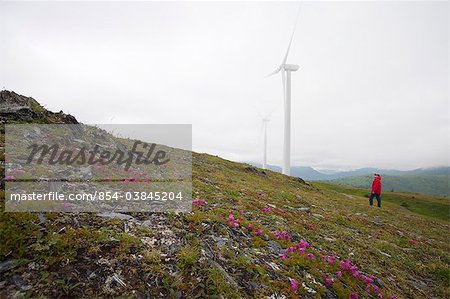 Frau views Säule Berg Windprojektes Windkraftanlagen auf Säule Berg an einem bedeckten Tag, Südwest Alaska, Kodiak Island Sommer