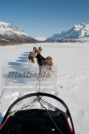 Vue de traîneaux à chiens qui voyagent vers le haut de la North Fork de la rivière Koyukuk, portes de la Arctic National Park and Preserve, Alaska, USA