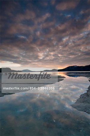 People walk on the mudflats in the evening as the sky reflects on the incoming tide at Harntey Bay near Cordova, Chugach National Forest, Southcentral Alaska, Spring