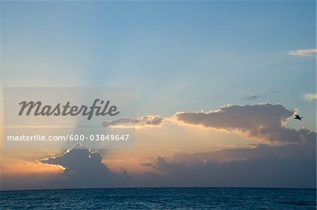 Reef Playacar Resort und Spa Hotel, Playa del Carmen, Quintana Roo, Halbinsel Yucatan, Mexiko