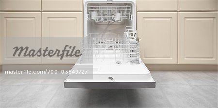 Open Dishwasher