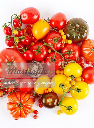 Différents types de tomates, Suède.