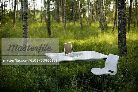 Einem Computer auf einen weißen Schreibtisch in einem Wald, Schweden.