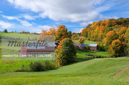Feuillage d'automne autour des granges rouges à Jenne ferme au sud de Woodstock, Vermont, New England, États-Unis d'Amérique, l'Amérique du Nord