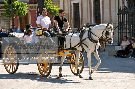 Touristen in bespannten Wagen, Sevilla, Andalusien, Spanien, Europa