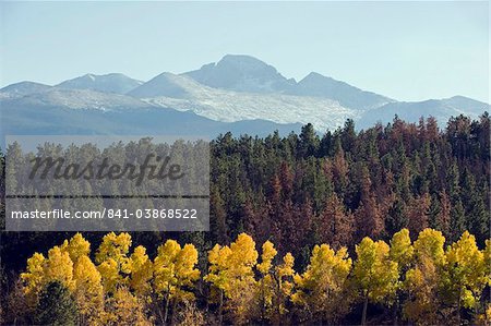 Tremble en automne ci-dessous Longs Peak, une montagne plus de 14000 pieds, appelée 14er, Rocky Mountain Parc National, Colorado, États-Unis d'Amérique, Amérique du Nord