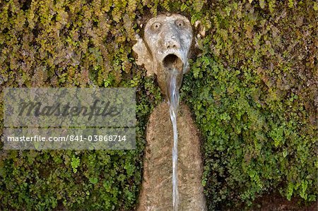 Détail de la fontaine des 100 visages dans la Villa d'Este, Tivoli, Latium, Italie, Europe