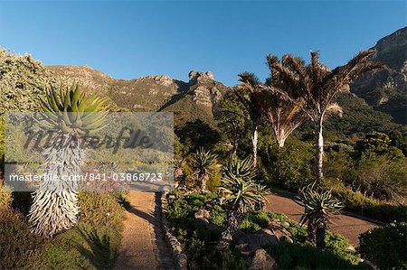Kirstenbosch National Botanical Garden, Cape Town, Afrique du Sud, Afrique