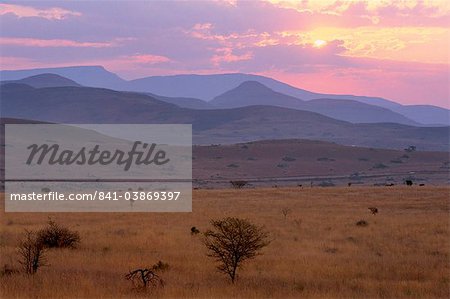 Coucher de soleil sur l'escarpement près de Blyde River Canyon, Mpumalanga, Afrique du Sud, Afrique