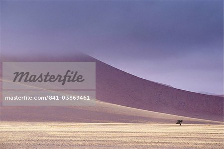 Early morning mist on red sand dunes which are up to 300m high, Sossusvlei valley, Namib-Naukluft Park, Namibia, Africa