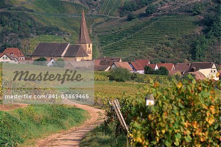 Niedermorschwihr, village of the Alsatian Wine Road, and its unique twisted bell tower, from the vineyards, Haut Rhin, Alsace, France, Europe