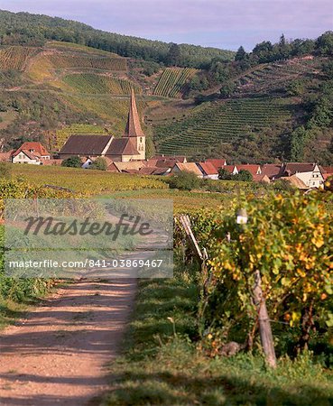 Niedermorschwihr, village of the Alsatian Wine Road, and its unique twisted bell tower, from the vineyards, Haut Rhin, Alsace, France, Europe