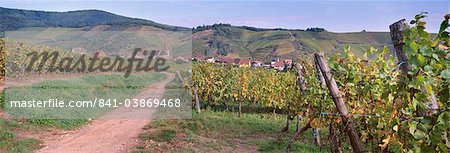 Niedermorschwihr, village de la route des vins d'Alsace, du vignoble, Haut Rhin, Alsace, France, Europe