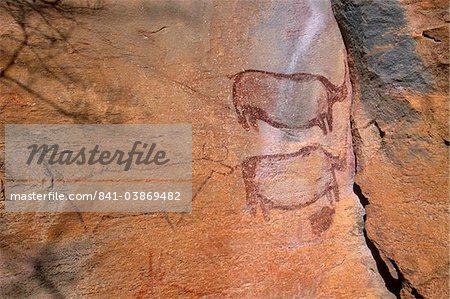 Rock art, rhinos, Tsodilo Hills, UNESCO World Heritage Site, Ngamiland, Botswana, Africa.