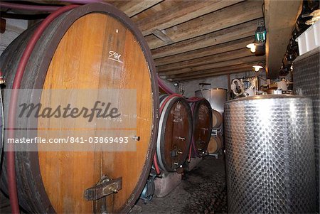 Barrel cellar at Domaine de l'Oriel, Niedermorschwihr, Haut Rhin, Alsace, France, Europe