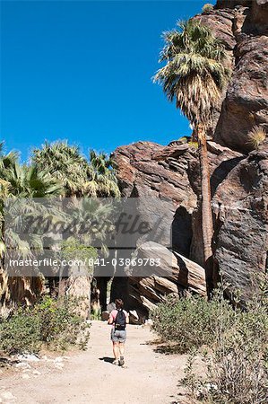 Randonnée dans le Canyon de Andreas, Indian Canyons, Palm Springs, Californie, États-Unis d'Amérique, Amérique du Nord