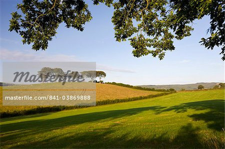 Sommerzeit Exmoor Landschaft Szene zwischen den Dörfern von Horner und Luccombe, Exmoor-Nationalpark, Somerset, England, Vereinigtes Königreich, Europa