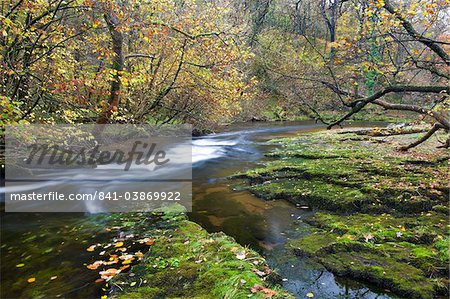 Herbstlandschaft Nedd Fechan Fluss in der Nähe von Ystradfellte, Brecon-Beacons-Nationalpark, Powys, Wales, Vereinigtes Königreich, Europa