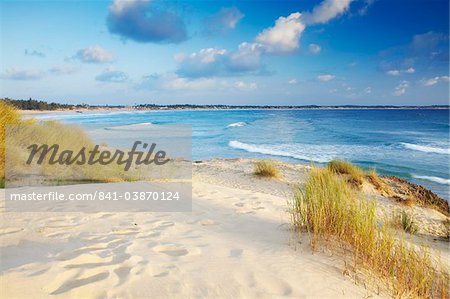 Sunrise on Tofo beach, Tofo, Inhambane, Mozambique, Africa