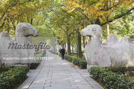 Kamel Statuen auf Stone Statue Straße bei Ming Xiaoling, Ming-Dynastie Grab, UNESCO Weltkulturerbe, Zijin Shan, Nanjing, Jiangsu, China, Asien