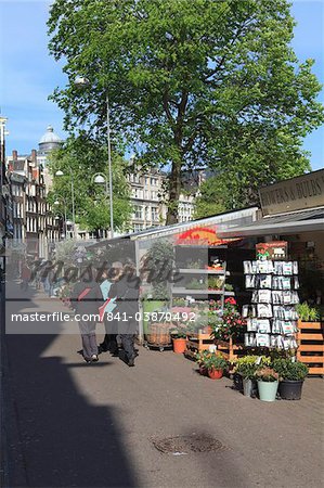 Bloemenmarkt (flower market), Amsterdam, Netherlands, Europe