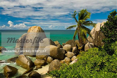 Granite rocks and palm trees, Mahe, Seychelles, Indian Ocean, Africa