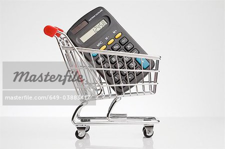 Calculator in shopping cart