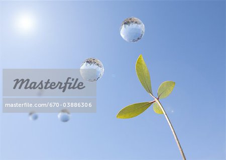 Ciel bleu, feuilles et boules de verre Ciel bleu, feuilles et boules de verre