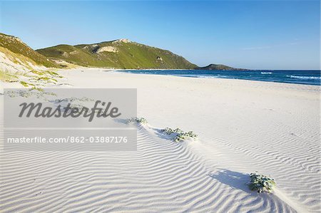 Auffällige Klippen Beach, Walpole, Westaustralien, Australien