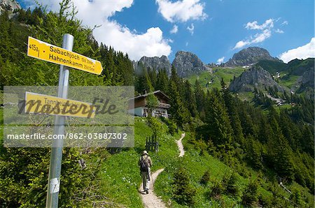 Wanderweg, Tannheimer Tal, Österreich
