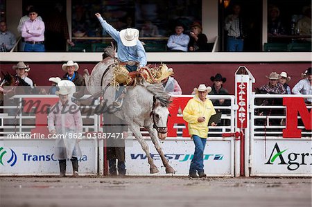 Calgary Canada, Rodeo events at the Calgary Stampede