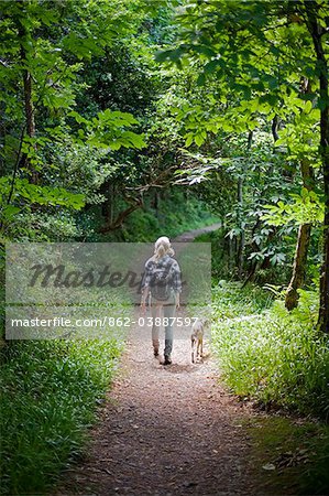 UK, Dorset. Une femme marche son chien à travers l'ombre tachetée d'une forêt dans le Dorset.