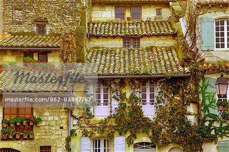 Arles ; Bouches du Rhône (France) ; Façades de maisons recouvertes de plantes, donnant sur la rivière