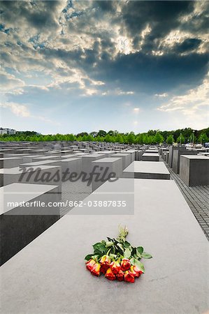 Roses left in the memorial to the murdered jews of Europe. The Holocaust Memorial was designed by architect Peter Eisenman. Berlin, Germany