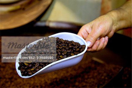 Rome, Italy; A spadeful of freshly cooked coffee beans