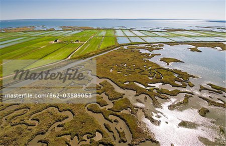 Aerial view of rice fields and marshes along the Sado river. Comporta, Alentejo, Portugal