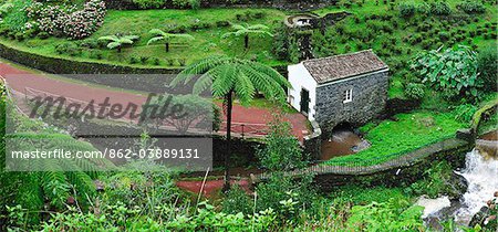 Ribeira dos Caldeiroes Nature Reserve at Achada, Nordeste.  Sao Miguel, Azores islands, Portugal