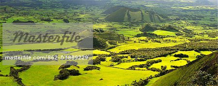 Volcanic landscape with pastures between craters. Pico, Azores islands, Portugal