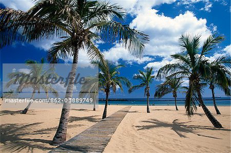 Playa de Las Teresitas, San Andres, Teneriffa, Kanarische Inseln, Spanien