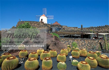 Jardin de Cactus, Lanzarote, îles Canaries, Espagne