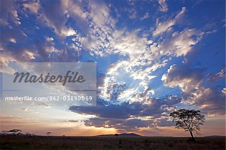 Tanzanie, Serengeti. Un magnifique coucher de soleil sur les plaines du Serengeti, près de Seronera.