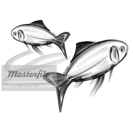 Signe astrologique Pisces, illustration Signe astrologique Pisces, illustration