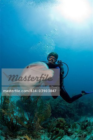 Scuba diver with dolphin
