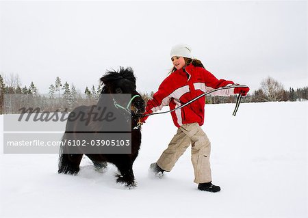 Girl playing with her Shetland pony, Sweden.
