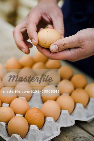 Agriculteur, affichage d'une boîte d'oeufs.