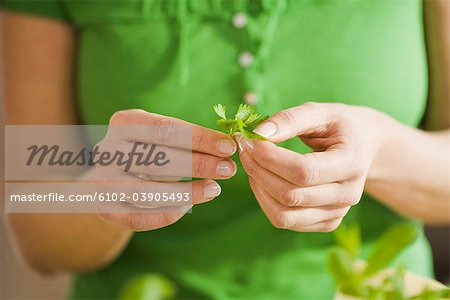 Woman with parsley, Sweden.