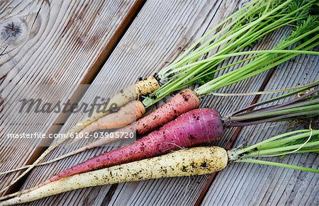 Karotten in verschiedenen Farben, Schweden.