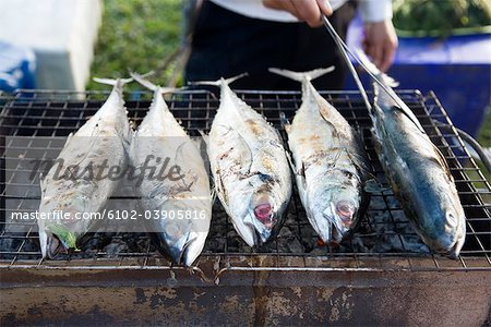 Fish on barbecue grill