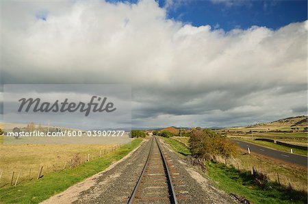 Campagne, près de Ross, Tasmania, Australie