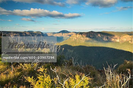 Grose Valley, Parc National des monts Blue, Blue Mountains, UNESCO World Heritage Area, New South Wales, Australie